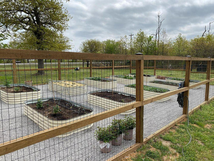 How to Choose the Right Planting Distance: Tips for Growing Potatoes in Garden Beds