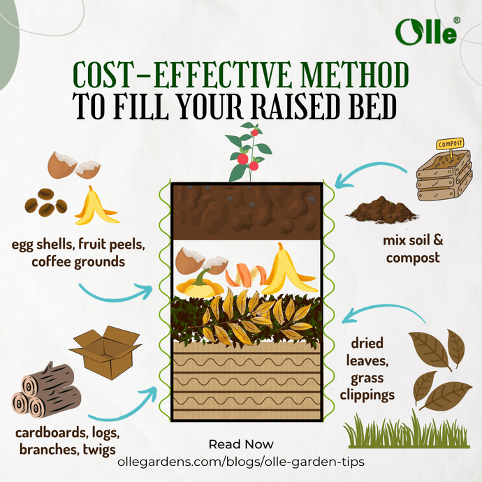 How to Fill Your Raised Beds Affordably