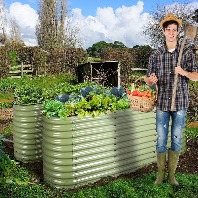 How To Grow Radish?- Suitable for Raised Garden Beds.