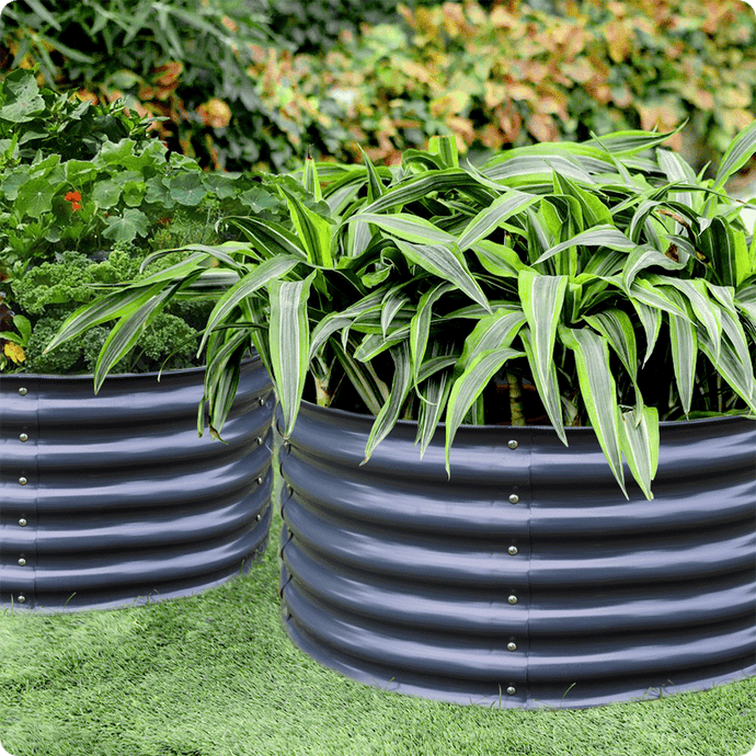 How to Make a Chemical-Free Insect Repellent