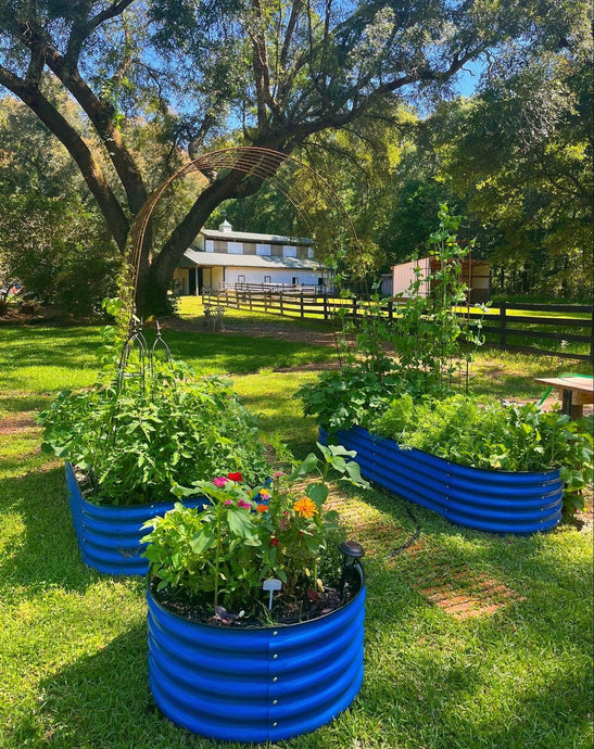 10 Cheap Gardening Ideas