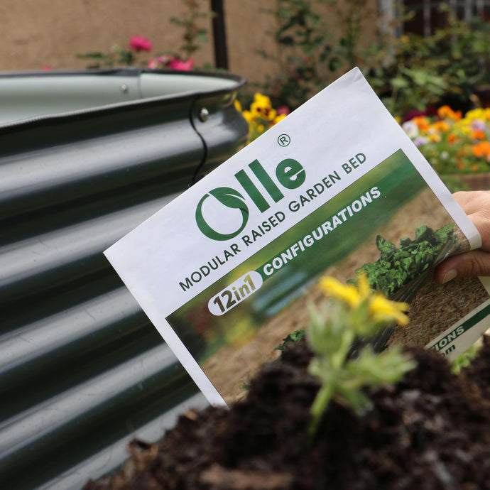Knowledge from Olle Garden Bed : 10 Signs of Plant Too Cold