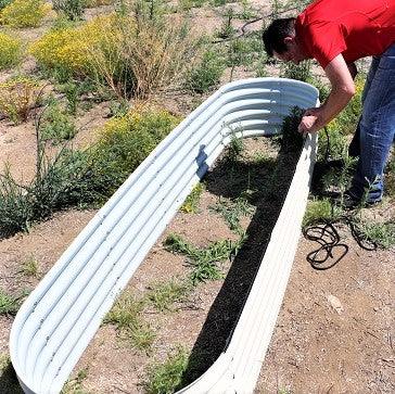 Knowledge from Olle Garden Bed: About St. Augustine Grass