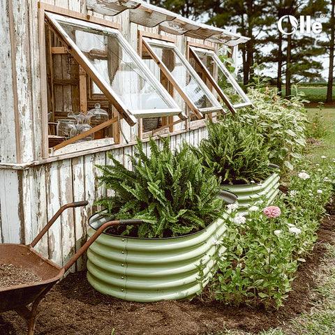 Knowledge from Olle Garden Bed: Six Smart Ways To Use Orange Peel In The Garden