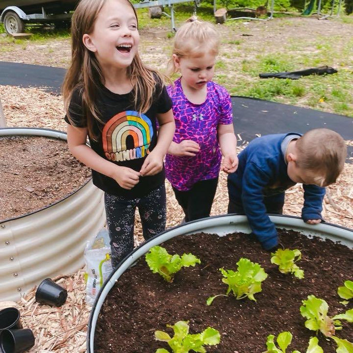Look, Tell You What a Garden Bed is