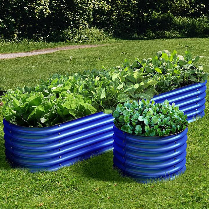 Low-carbohydrate Agricultural Products That Can Be Grown in Garden Beds