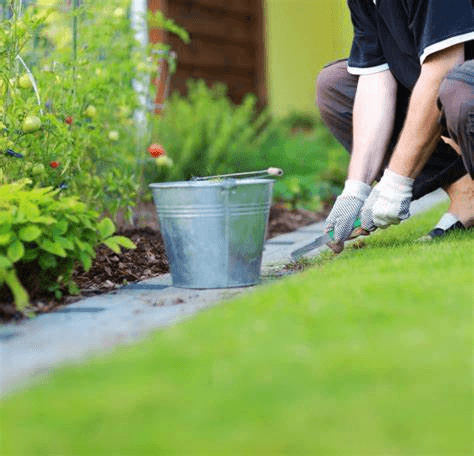 Mastering the Art of Garden Weed Control