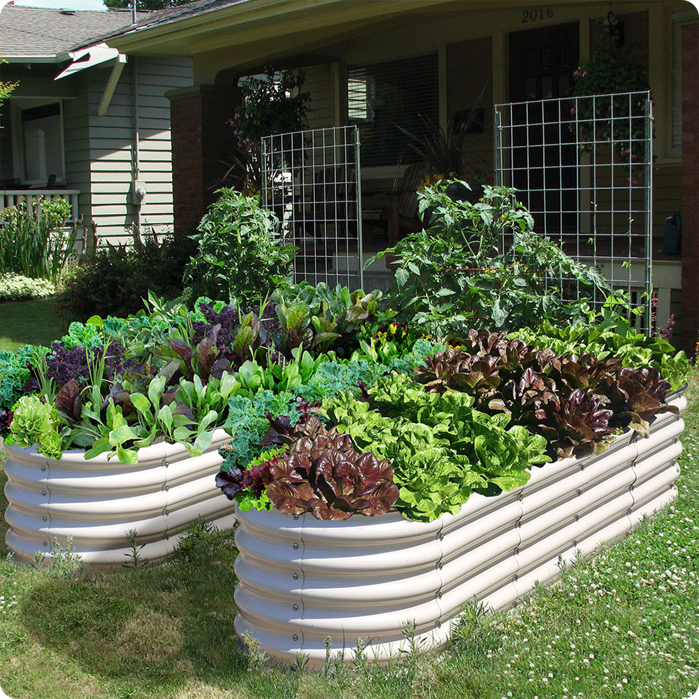 Modular raised garden beds give city roads a new look ...