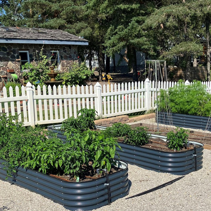 Plant And Growing A Vegetable Garden in Containers or Garden Beds