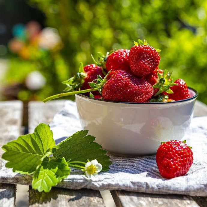 Planting Strawberries at Home: 7 Simple Steps for Beginners