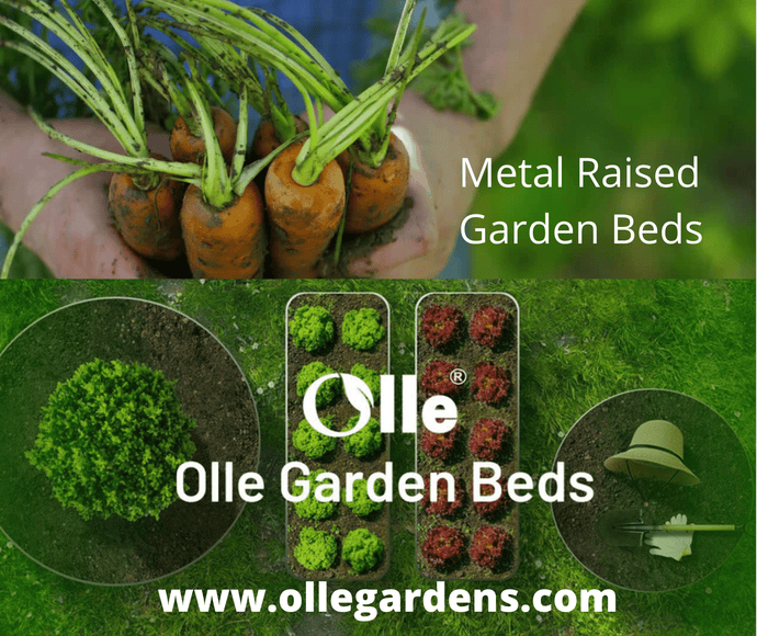 Prepare New Beds This Spring