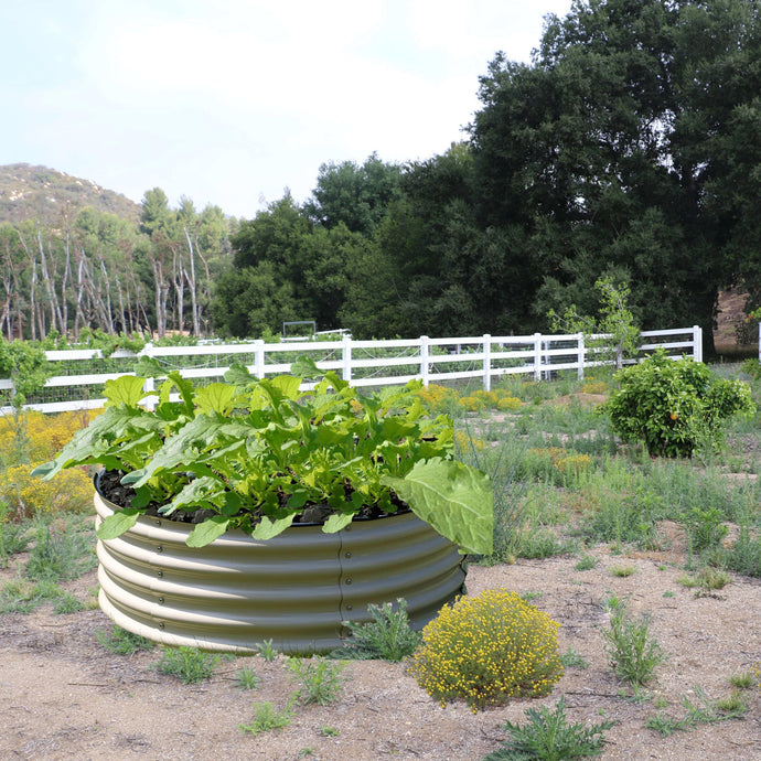 Garden Fortresses: Building a Rodent-Proof Haven for Your Plants