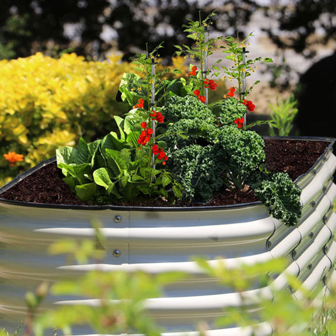 Metal Garden Bed with Arch Trellis: An Elegant Addition to Your Garden