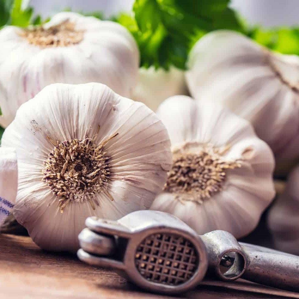 Red Garlic : A Gourmet Delight with Deep Roots – Ollegardenshttps://www ...