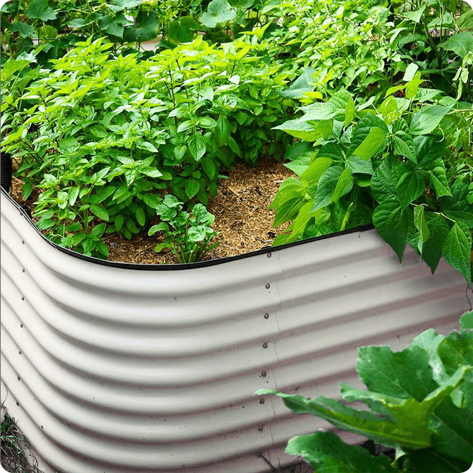 This Fall 10 Things To Plant