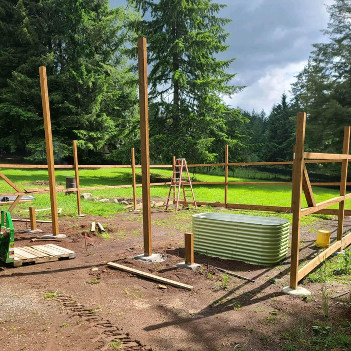 Tips from Olle Garden Bed: Frequency of Watering Tomatoes