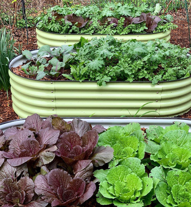 Tips from Olle Garden Bed: How To Refresh Old Garden Covers