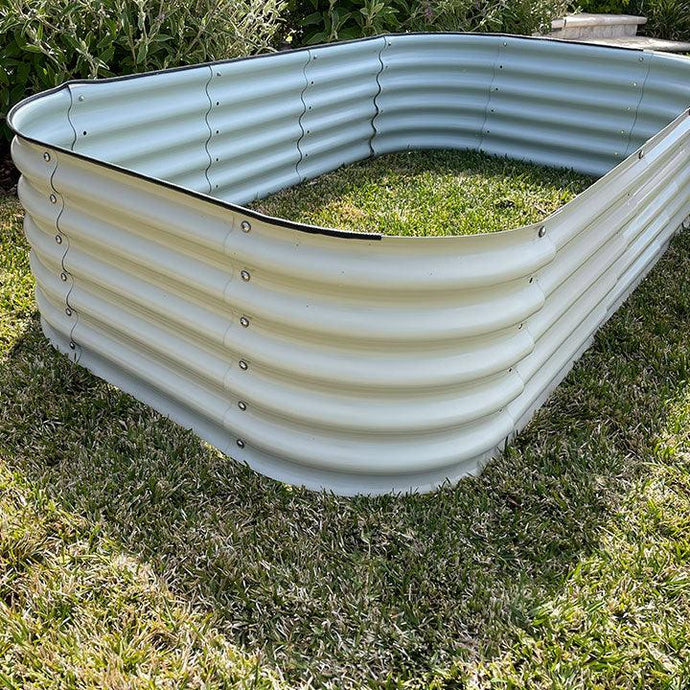 Tips from Olle Garden Bed: Stop Money Tree Plant From Turning Yellow