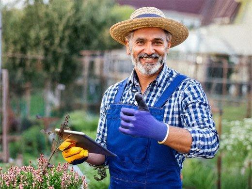 Unleash Your Inner Gardener: Why Metal Raised Beds Are Perfection for Your Veggie Patch