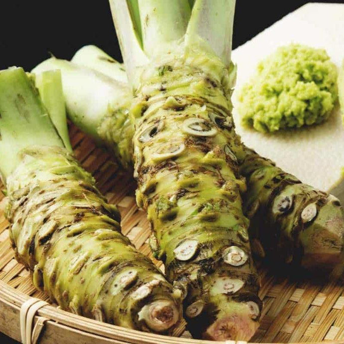 Wasabi Wonderland