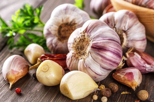 Watch This Before You Plant Garlic on a Raised Bed