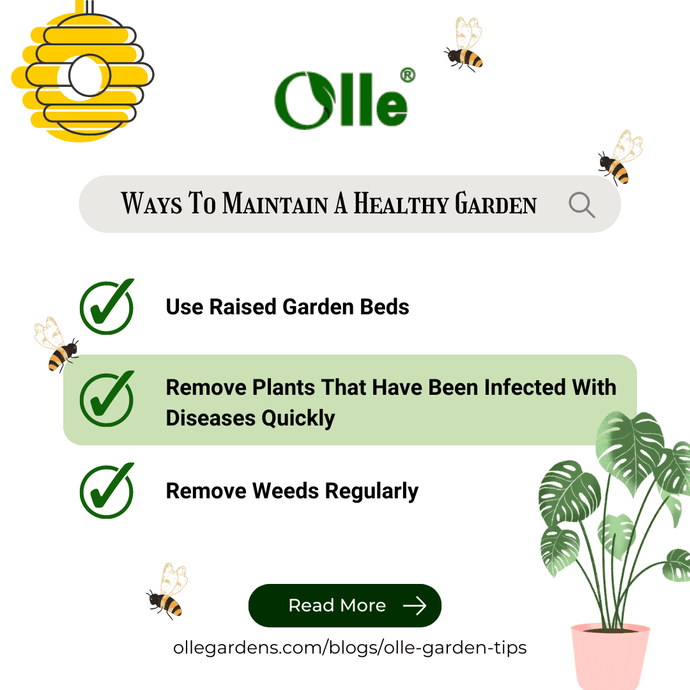 Ways to Keep Your Garden Healthy