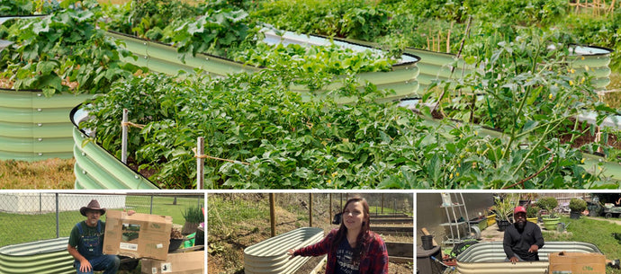 What Can Be Placed at The Bottom of a Metal Raised Garden Bed?