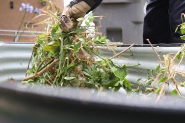 What NOT to Compost