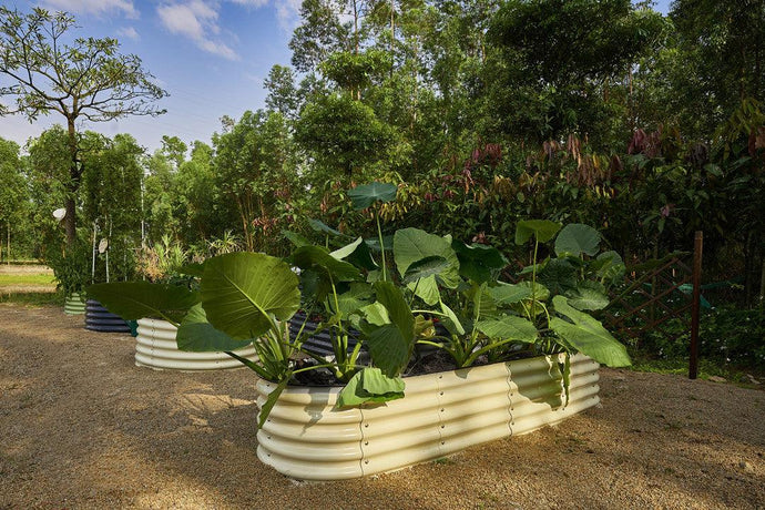 What should be placed at the bottom of a raised metal garden bed?
