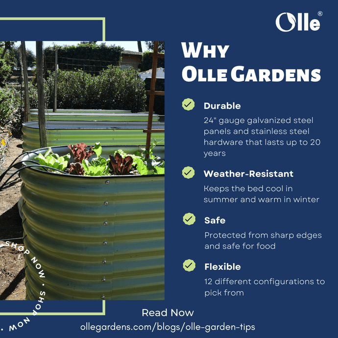 Why Choose Olle Gardens?
