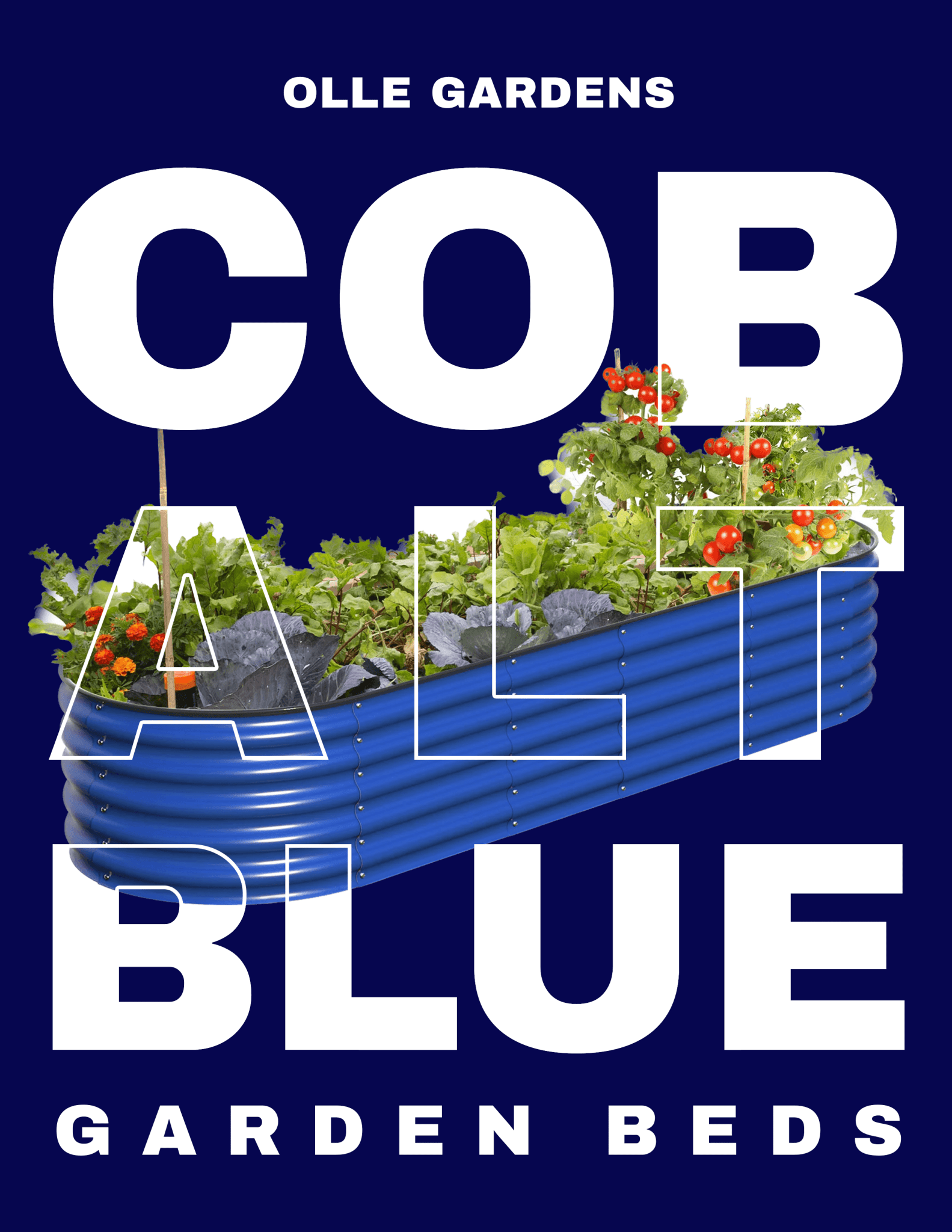 Cobalt Blue - Ollegardens