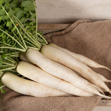 Load image into Gallery viewer, Olle Garden Seedlings - Roots &amp; Shoots Bundle (Spring)

