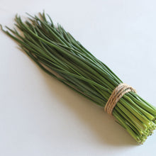 Load image into Gallery viewer, Olle Garden Seedlings - Herb Mix (Spring)
