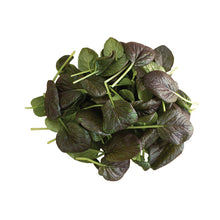 Load image into Gallery viewer, Olle Garden Seedlings - Greens Mix (Spring)
