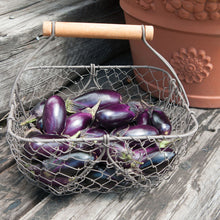 Load image into Gallery viewer, Olle Garden Seedlings - Nightshade Bundle (Spring)
