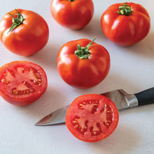 Load image into Gallery viewer, Olle Garden Seedlings - Veggie Mix (Spring)
