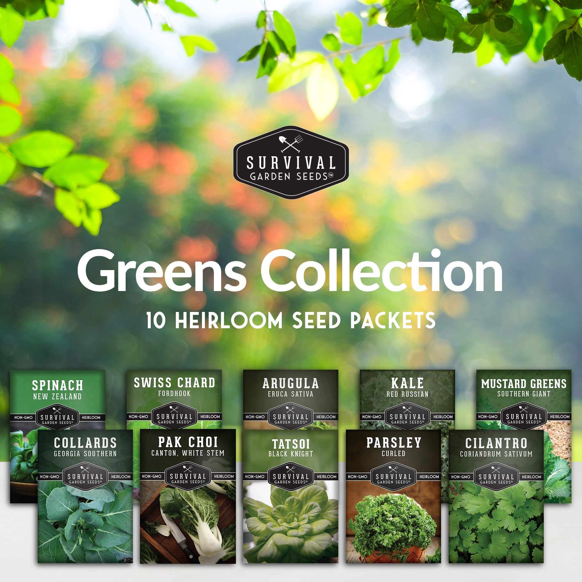 Power Greens Seed Collection – 10 Heirloom Non-GMO Leafy Green & Herb Varieties for Year-Round Nutrition