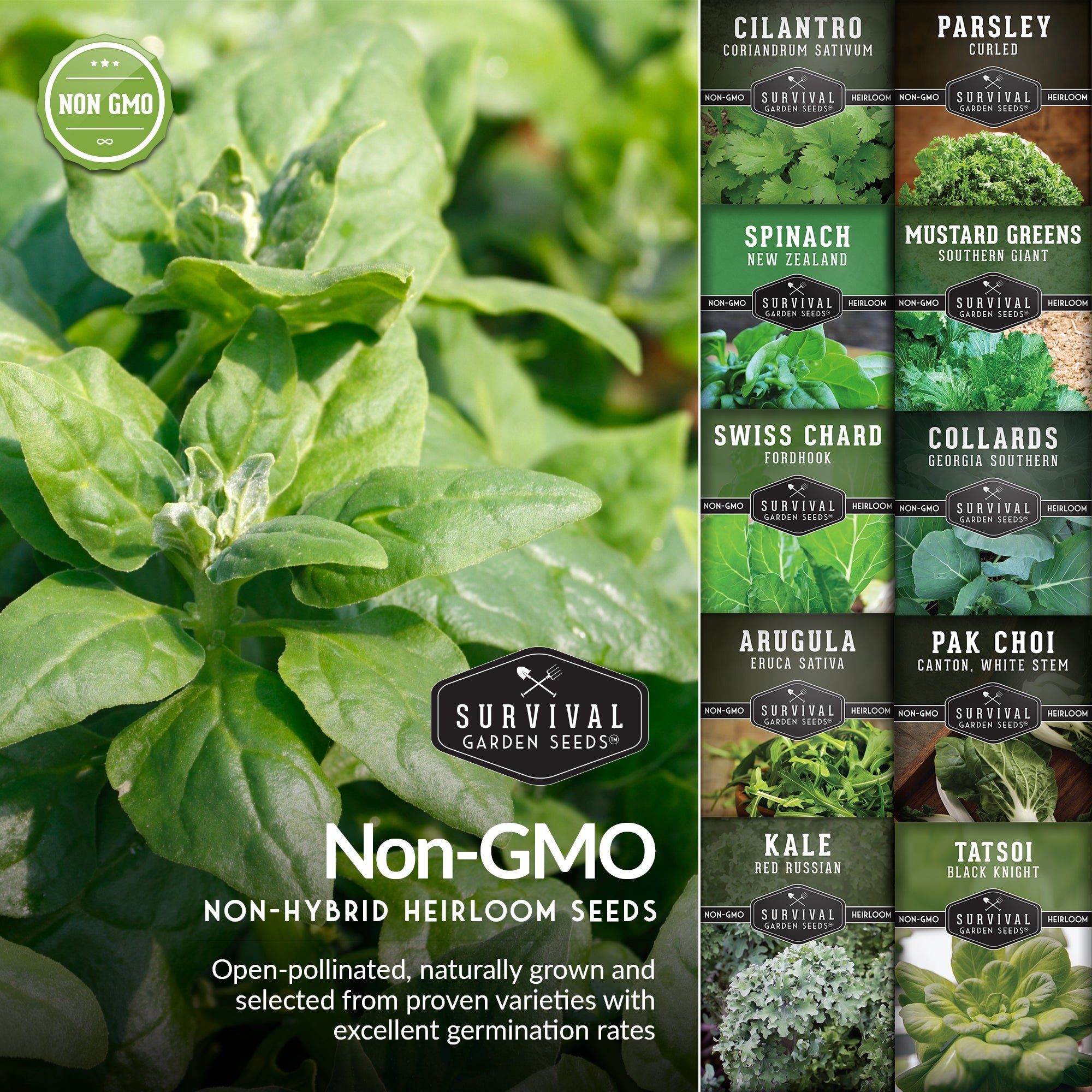 Power Greens Seed Collection – 10 Heirloom Non-GMO Leafy Green & Herb Varieties for Year-Round Nutrition