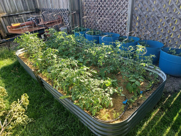 17" Tall 12 - in - 1 Raised Garden Bed in Midnight Grey - Ollegardens
