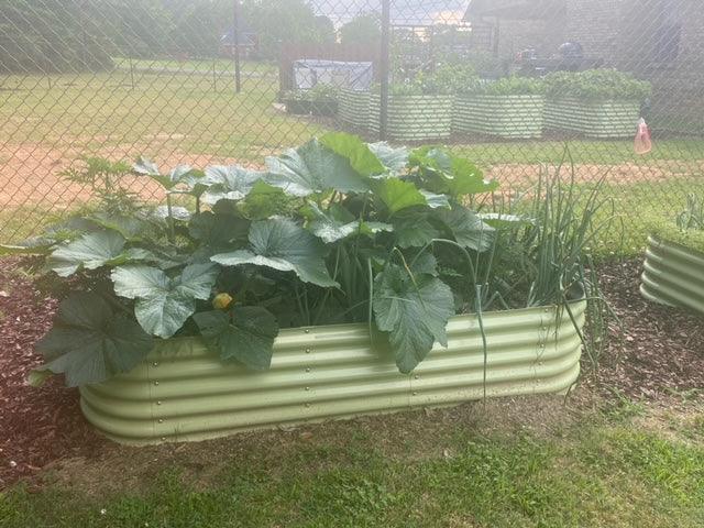 17'' Tall Olle Gardens 12 - in - 1 Raised Bed, in Sage Green - Ollegardens