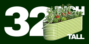 /collections/32-tall