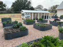 Load image into Gallery viewer, 3 Pack Fall Bundle
