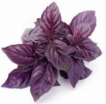 Load image into Gallery viewer, Olle Garden Seedlings - Herb Mix (Spring)
