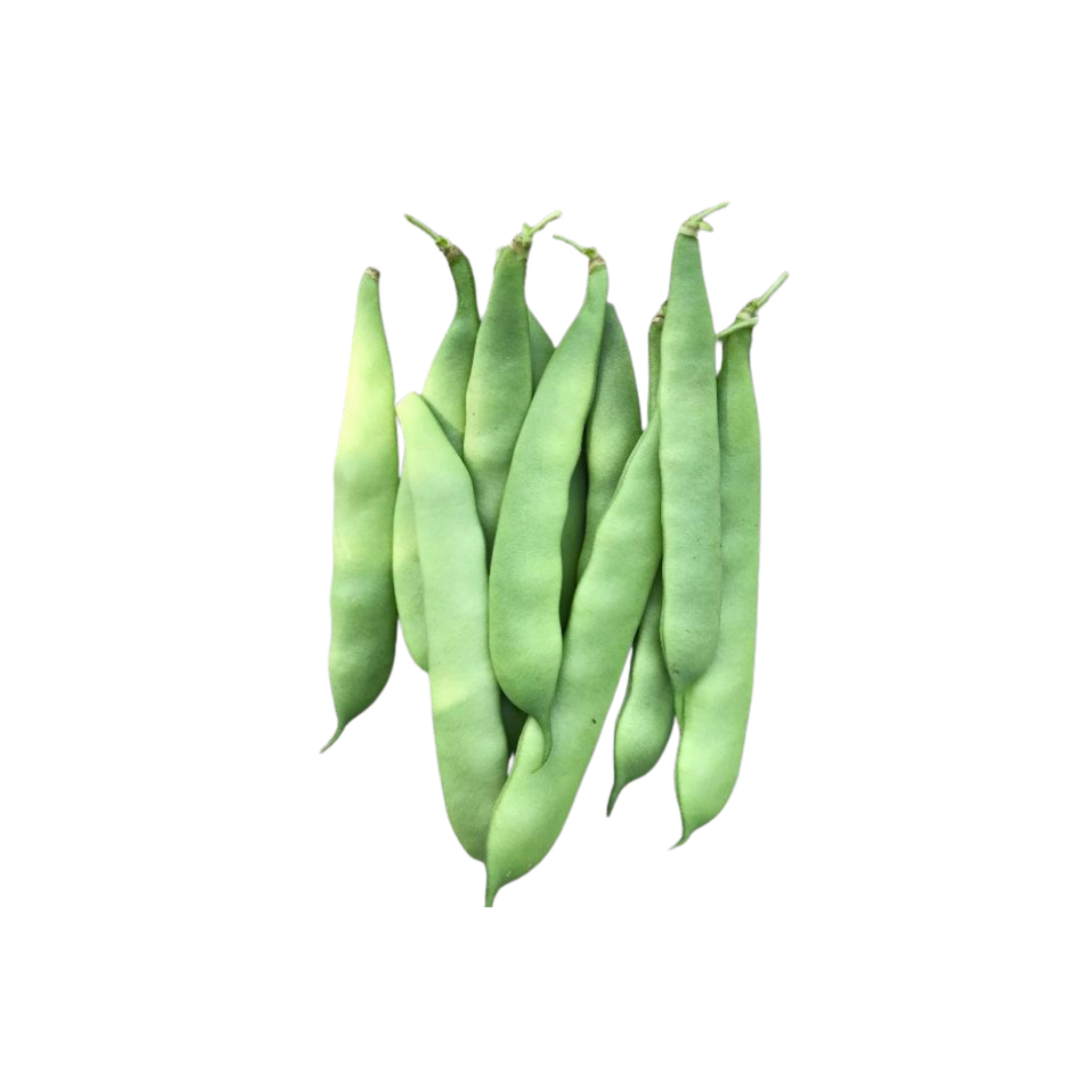 Olle Gardens Veggie Bundle