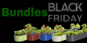 Black Friday Bundles