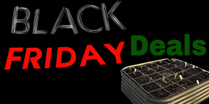 Black Friday Deals