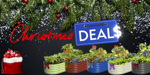 Christmas Deals