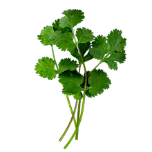 Load image into Gallery viewer, Olle Gardens Seedlings Herb Bundle
