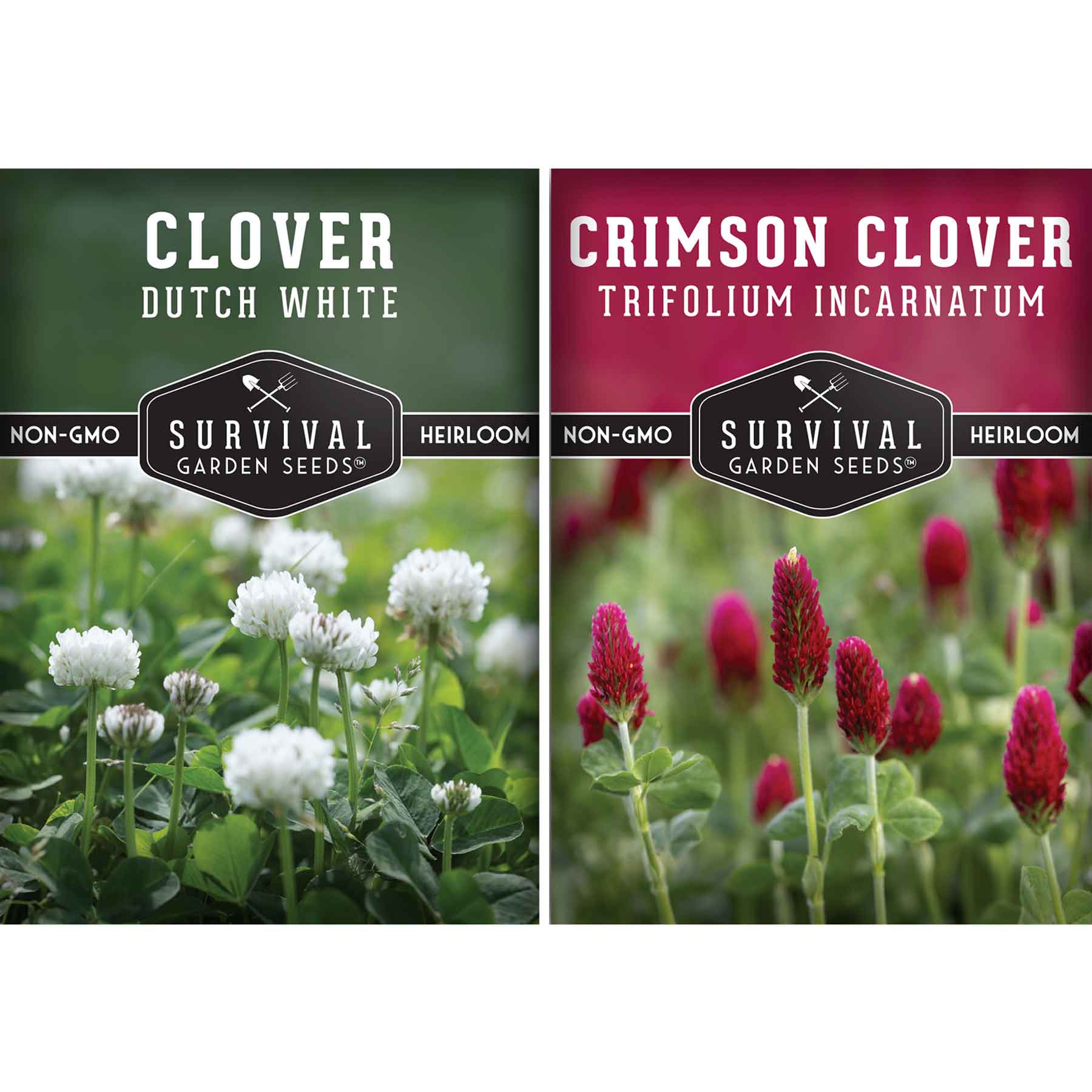 Clover Seed Collection – Dutch White Clover & Crimson Clover for Soil Building, Ground Cover & Pollinator Gardens