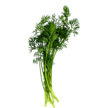 Load image into Gallery viewer, Olle Gardens Seedlings Herb Bundle
